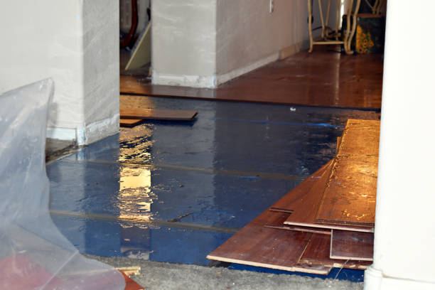 Professional Burst Pipe Cleanup technician working in Crosby, TX